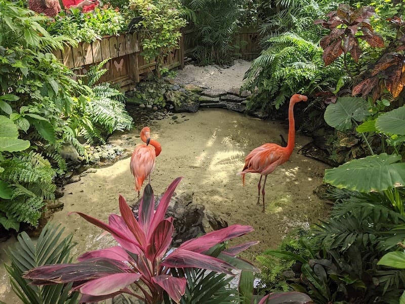 Key West Butterfly Garden