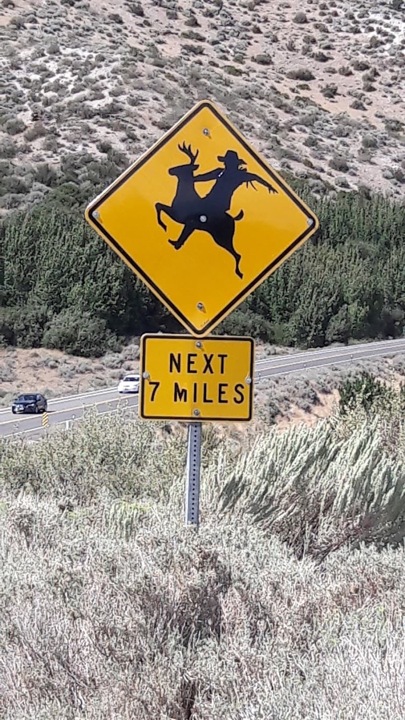 Kingsbury Grade Scenic Drive & Overlooks