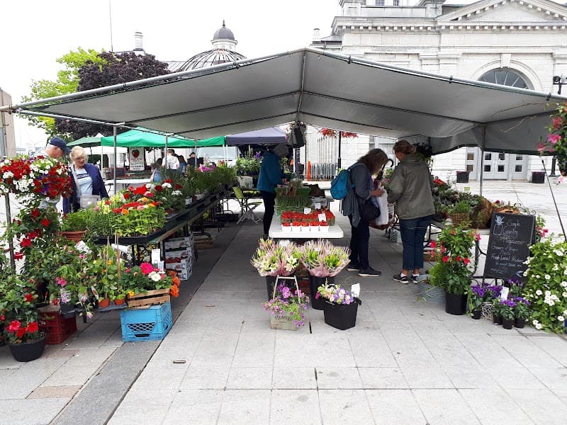 Kingston Public Market & Springer Market Square