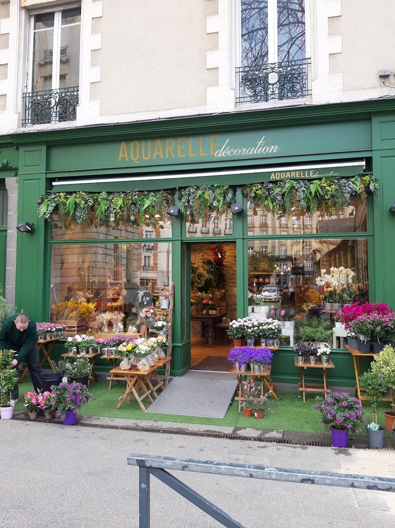Slow Sips & Breton Bites in Historic Rennes