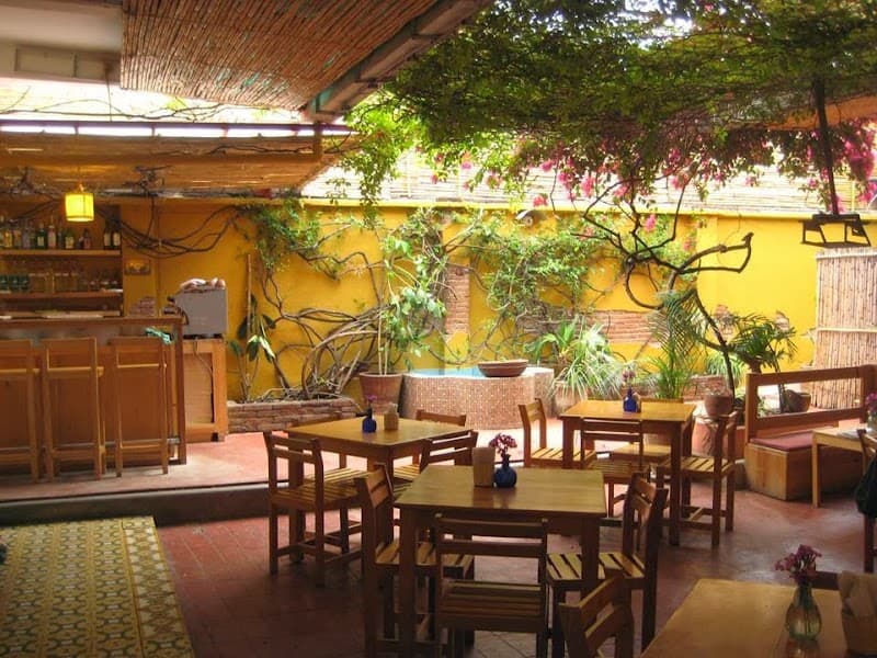 Wild Green Romance in Oaxaca City