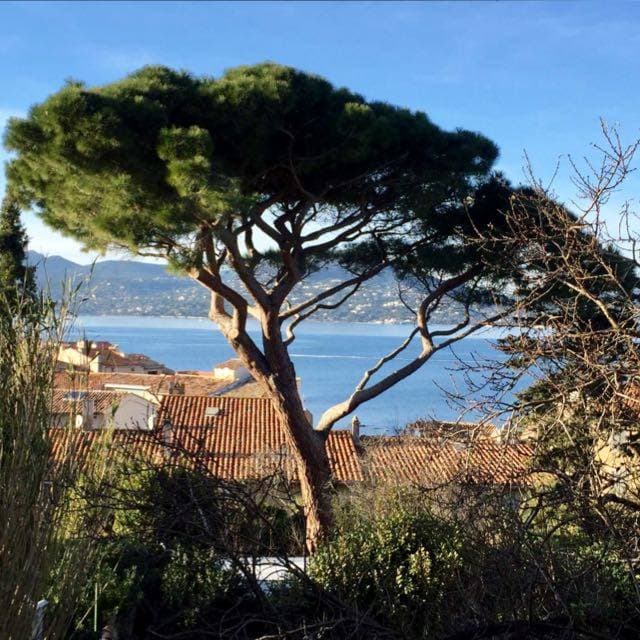7 Romantic, Jungle-Wild Days in Saint‑Tropez