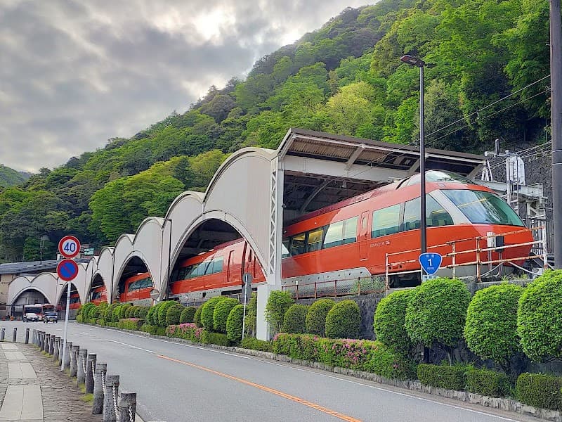 Misty Forests & Mountain Steam: A Hakone Jungle Escape