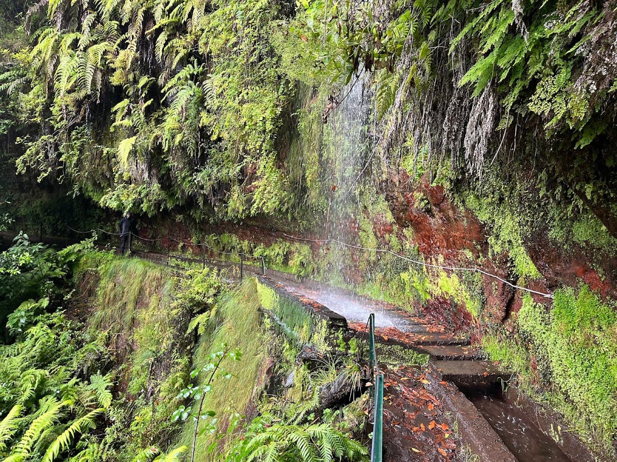 Levada do Rei