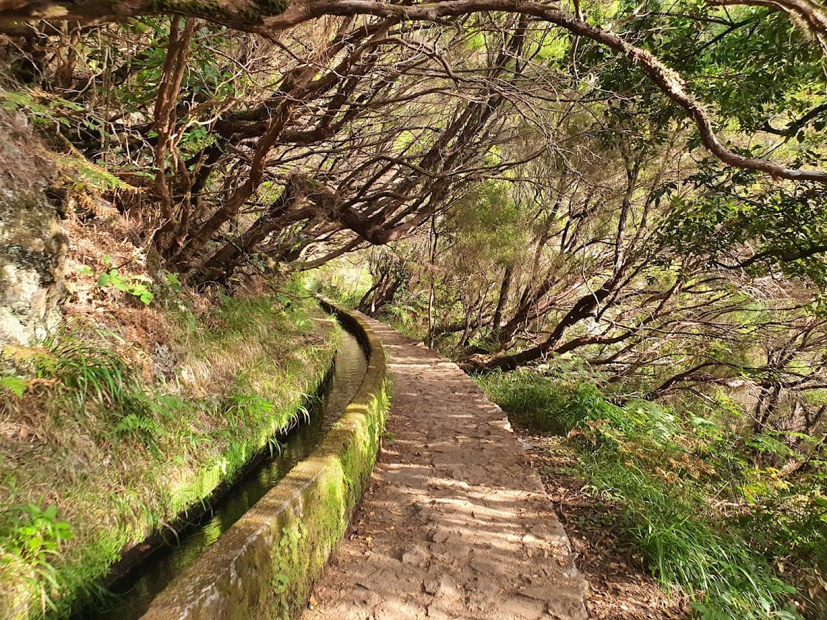 Levada do Risco & 25 Fontes