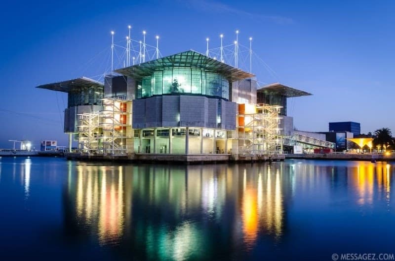 Lisbon Oceanarium (Oceanário de Lisboa)