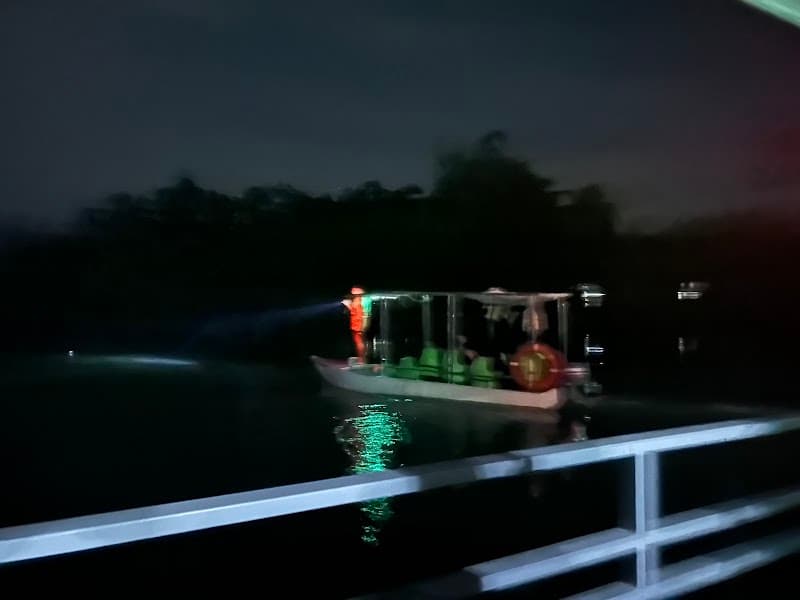 Loboc Firefly Watching River Cruise