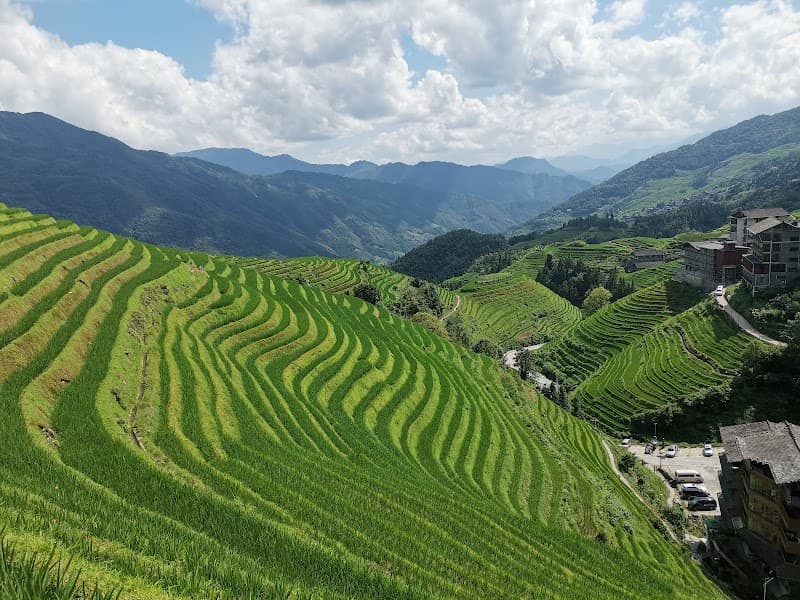 Longji Rice Terraces Hike