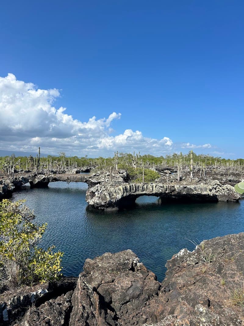 Los Túneles Snorkel Excursion