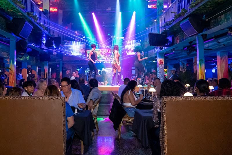 Mango's Tropical Nightclub Experience