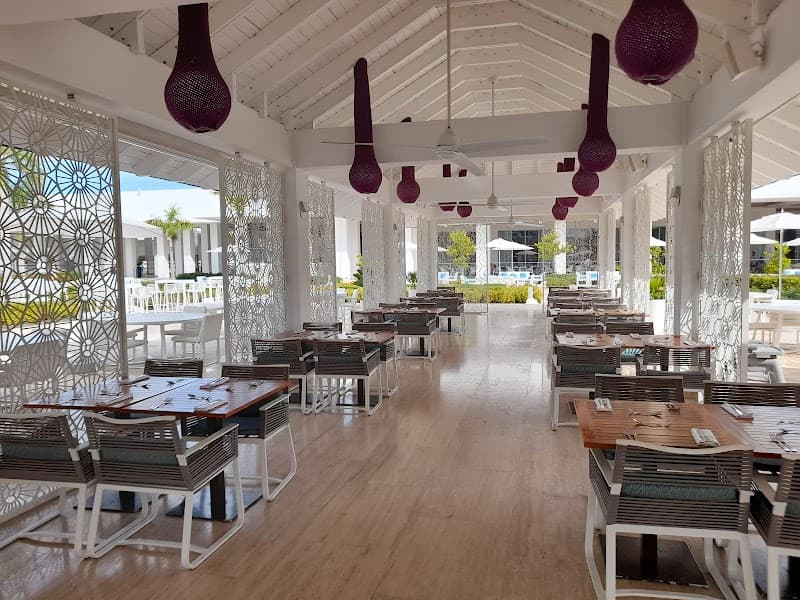 Romantic Tropical Escape in Punta Cana