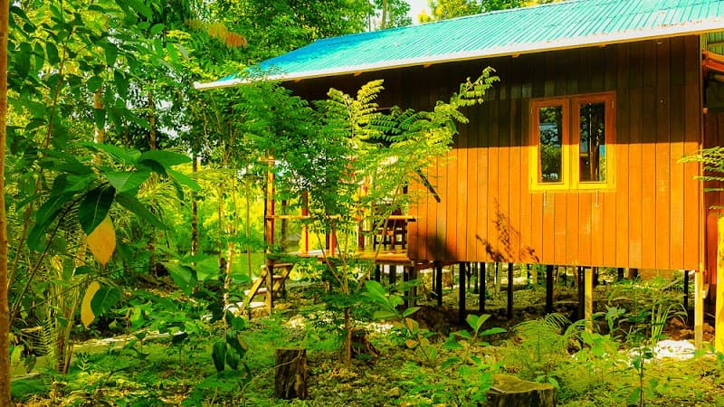 Maratua Guesthouse