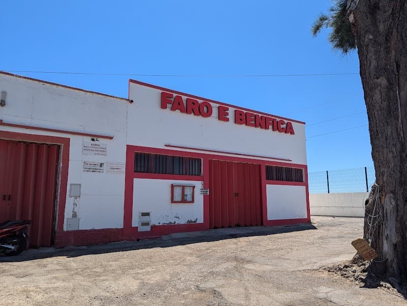 Slow Gourmet Day in Historic Faro
