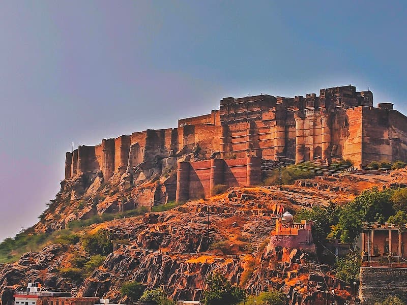 Blue City Jungle: A Family Weekend in Jodhpur
