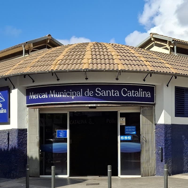 Mercat de Santa Catalina & Waterfront Stroll