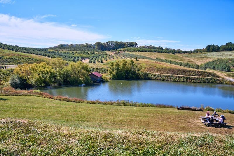 Mercier Orchards