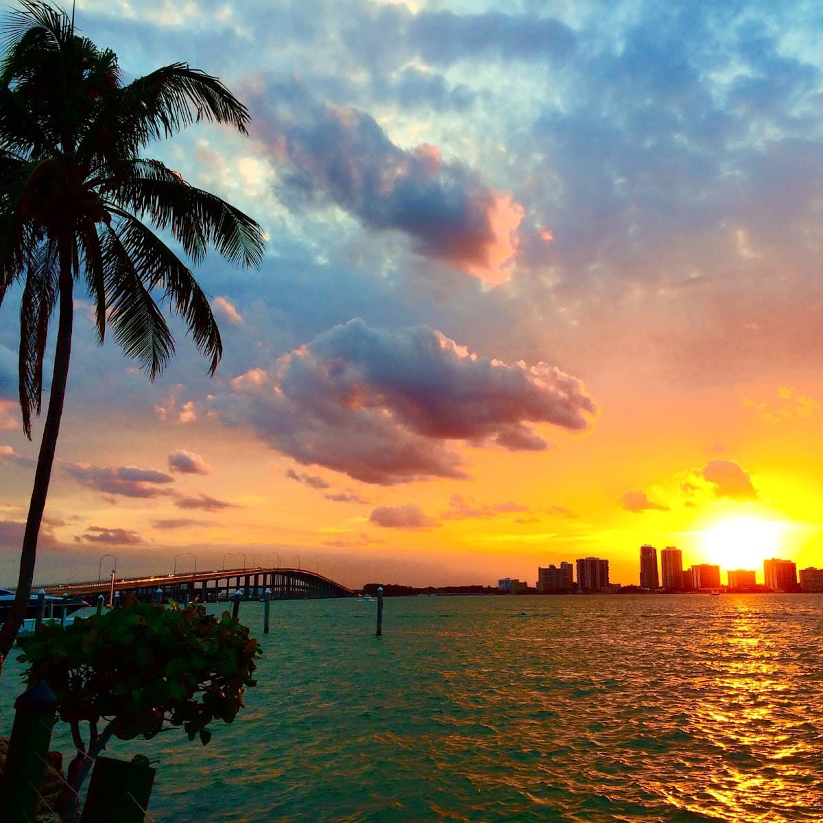 Miami Skyline Sunset Cruise