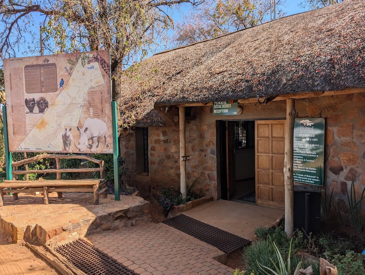 Gaborone Solo Adventure: Luxury Urban Escape