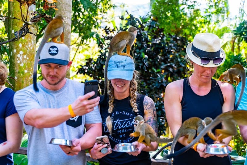 Monkeyland Wildlife Encounter