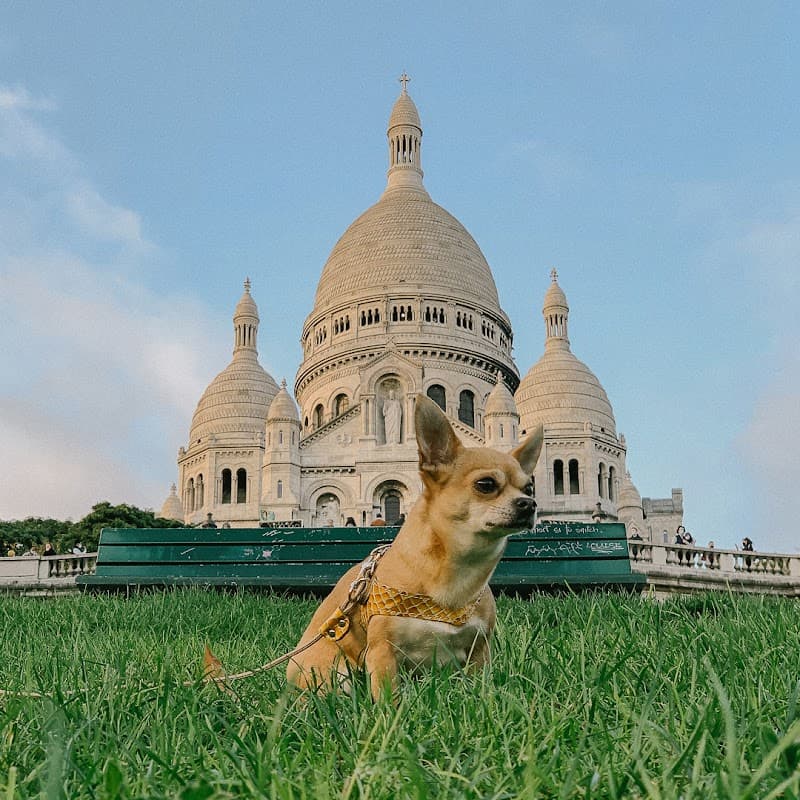 Montmartre Romantic Exploration Game