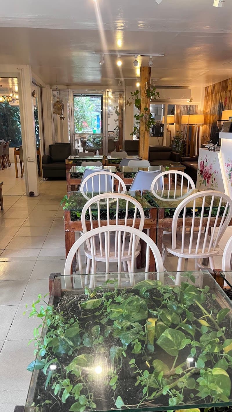 Mosia Café