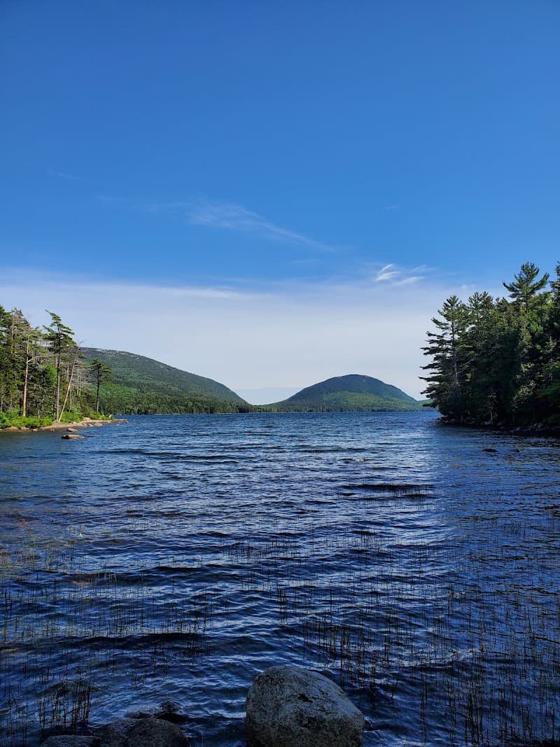 Mount Desert Island Ice Cream