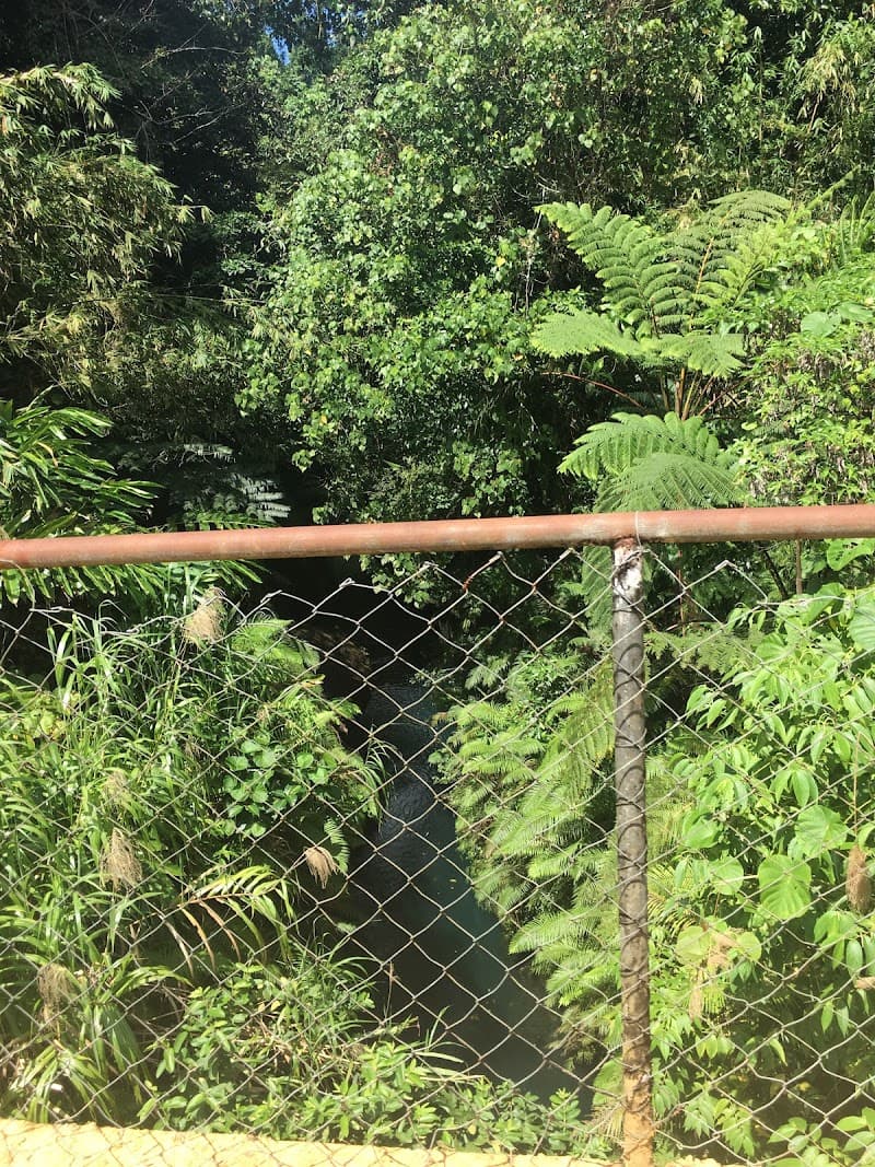Mount Hope Waterfall / Jungle Walk (Soft Adventure)