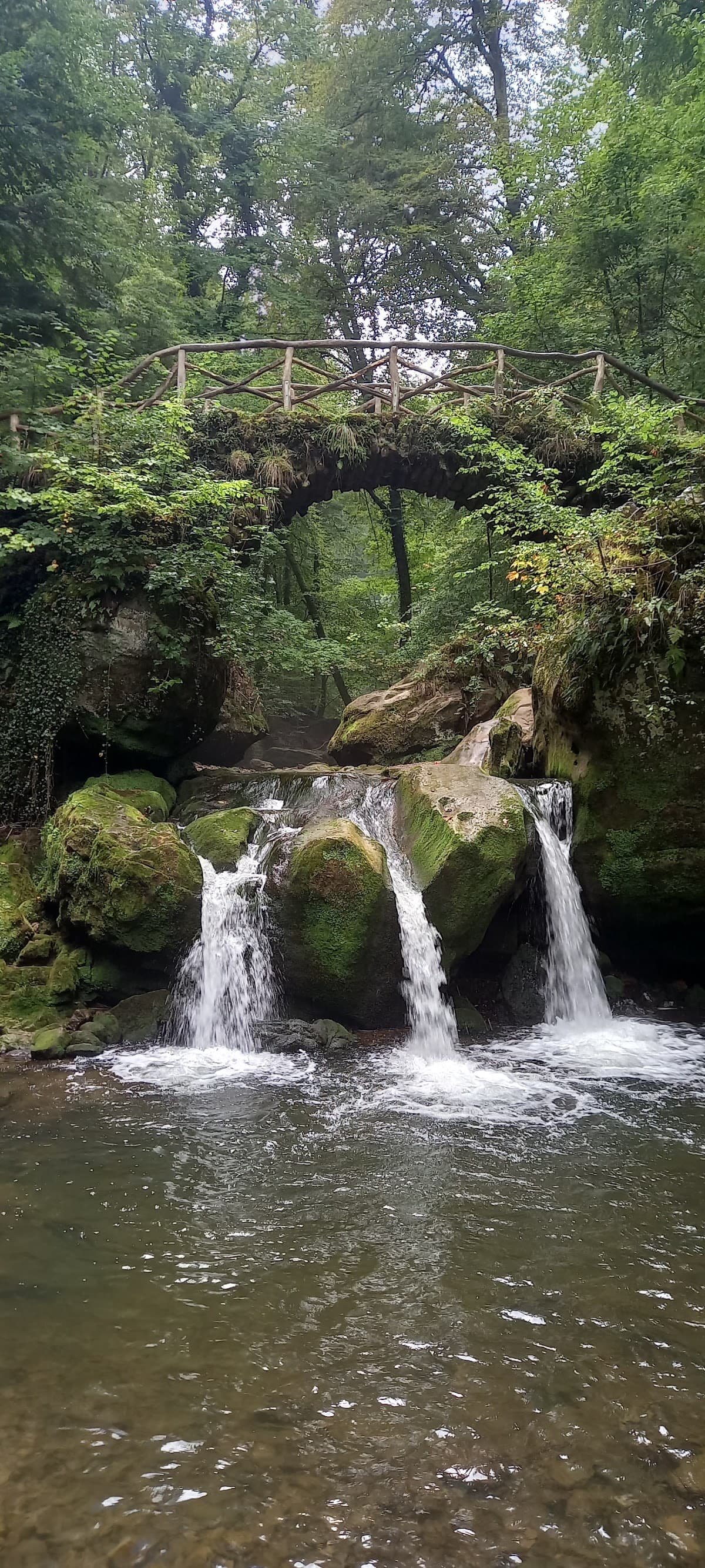 Mullerthal Trail Route 2 (Partial Day Hike)