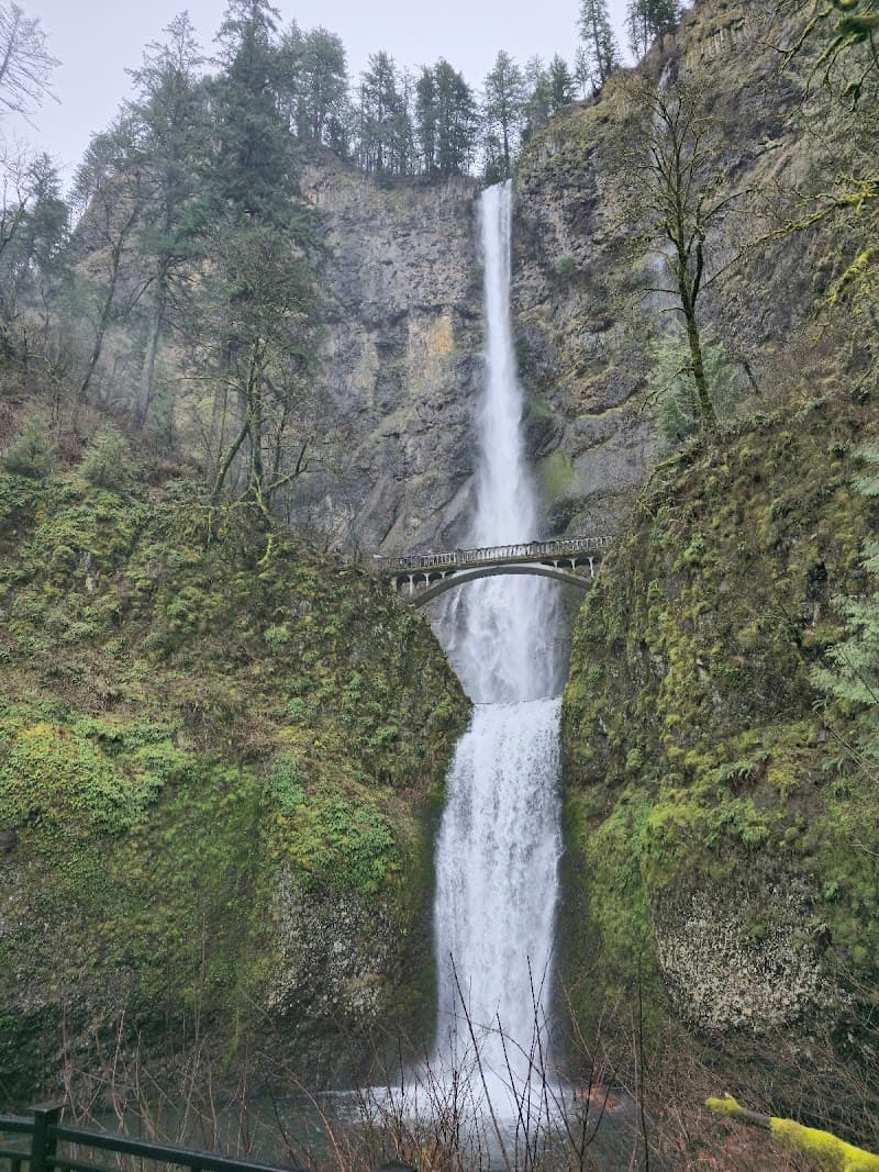 Multnomah Falls Lodge Cafe