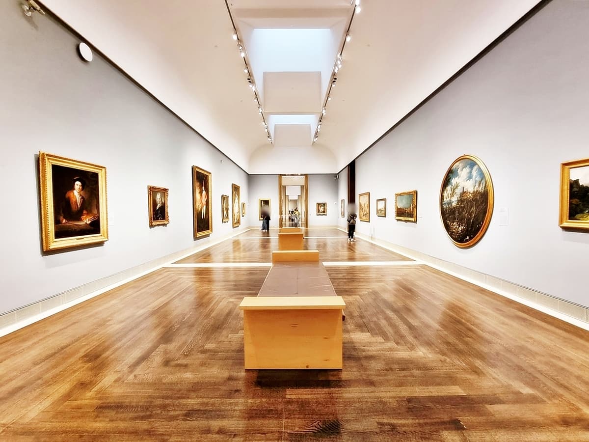 Museum of Fine Arts, Houston — Architecture & Photography