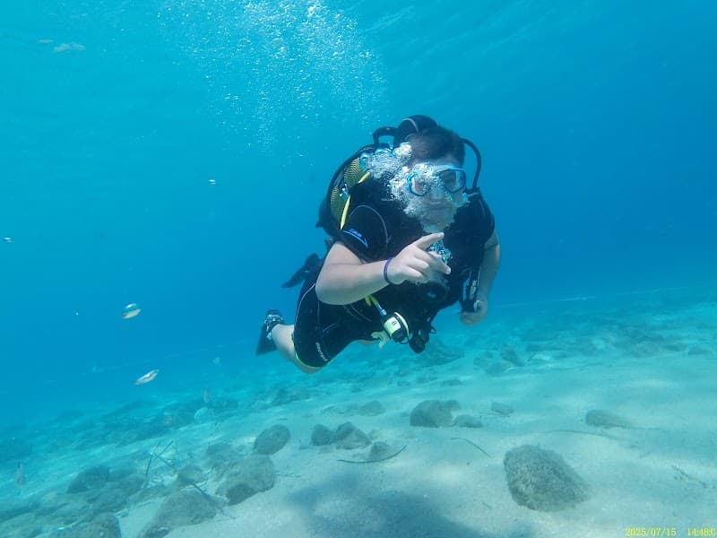 Mykonos Diving Center – Scuba or Snorkel Trip