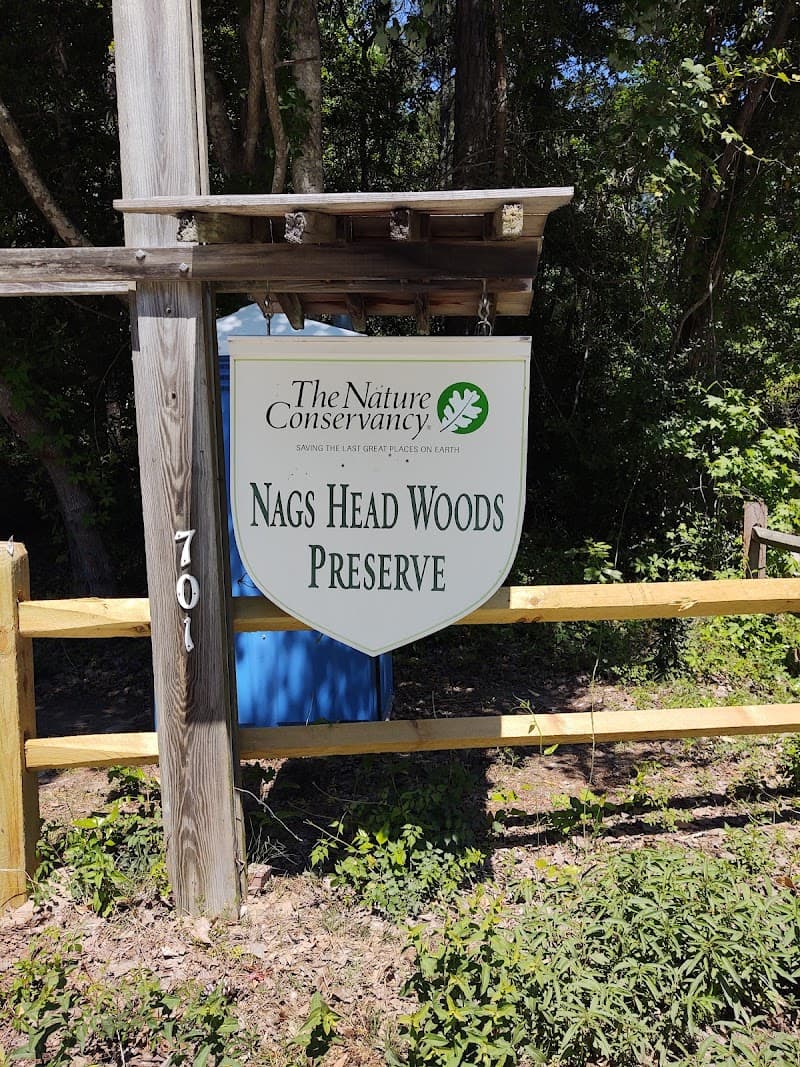 Nags Head Woods Picnic