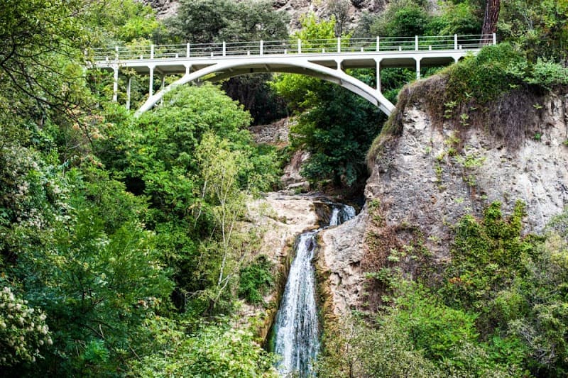 National Botanical Garden of Georgia