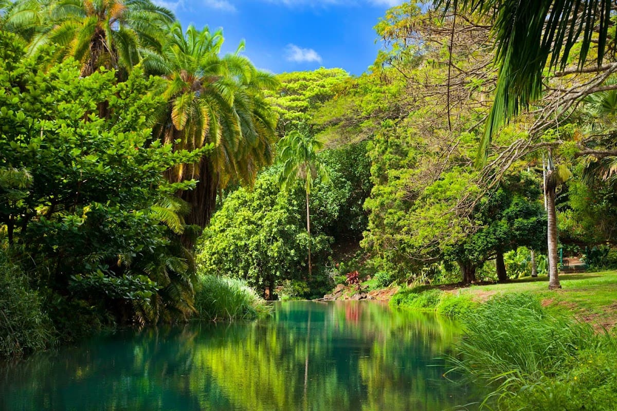 National Tropical Botanical Garden (McBryde Garden)