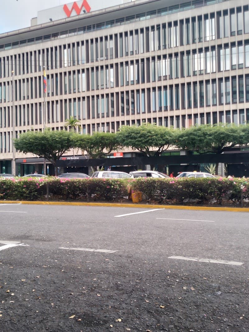 New Kingston Free-Explore Block