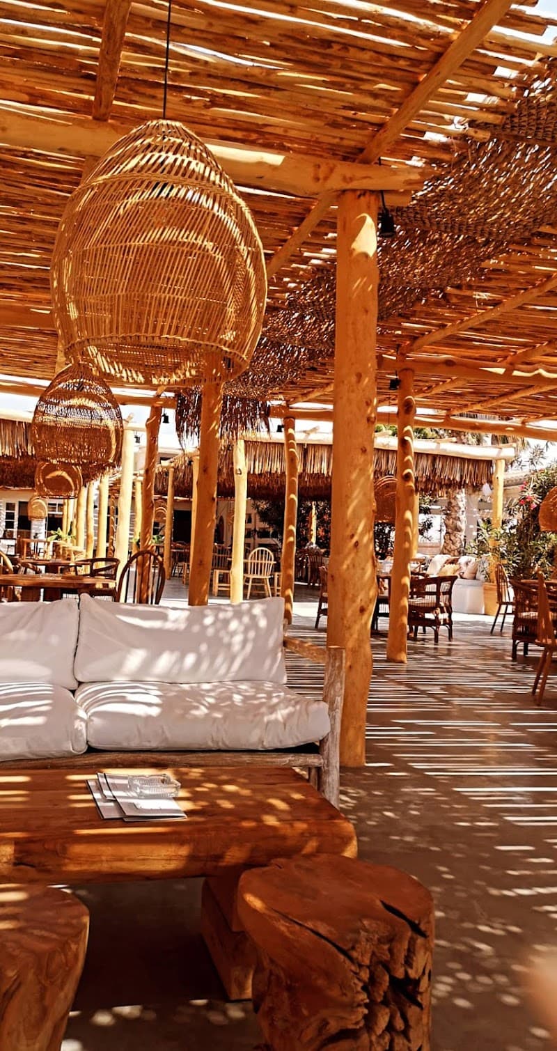 Oasis Beach Bar