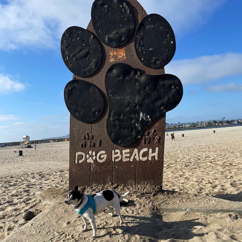 Ocean Beach Pier & Dog Beach