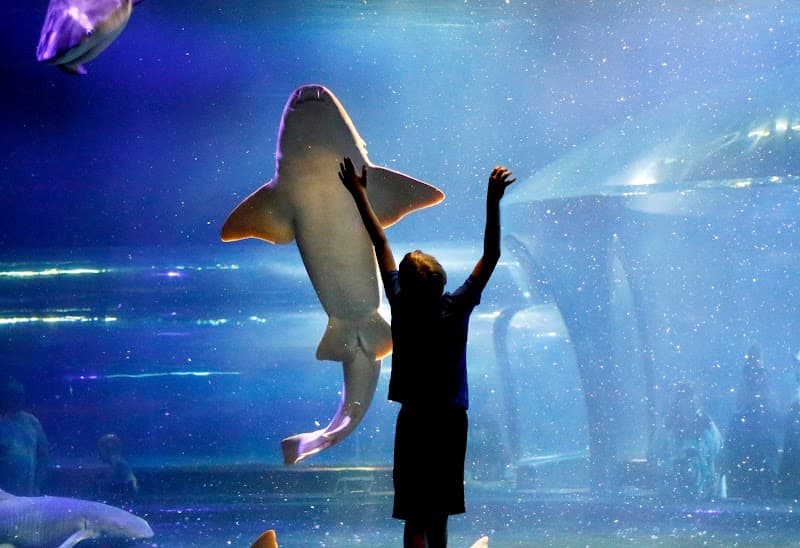 Oklahoma Aquarium