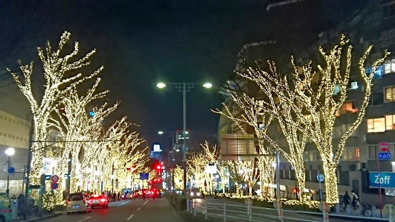 Omotesando Architecture Walk