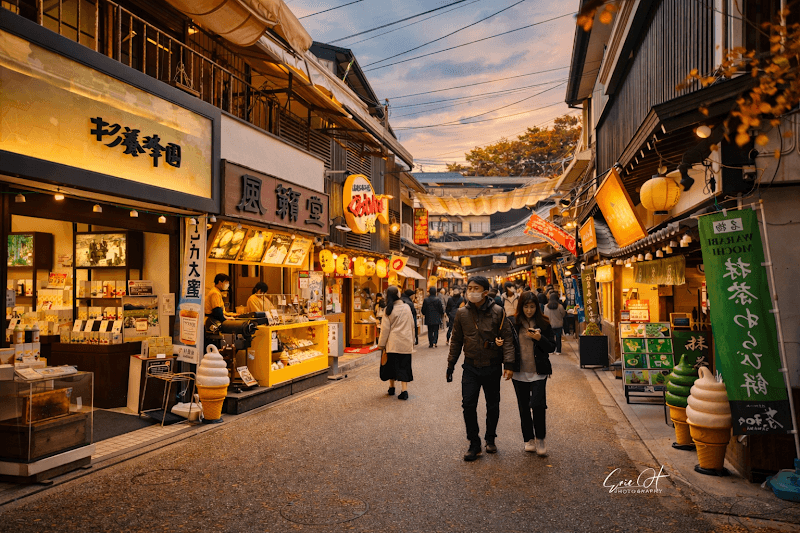 Omotesando Shopping Street & Back Alleys