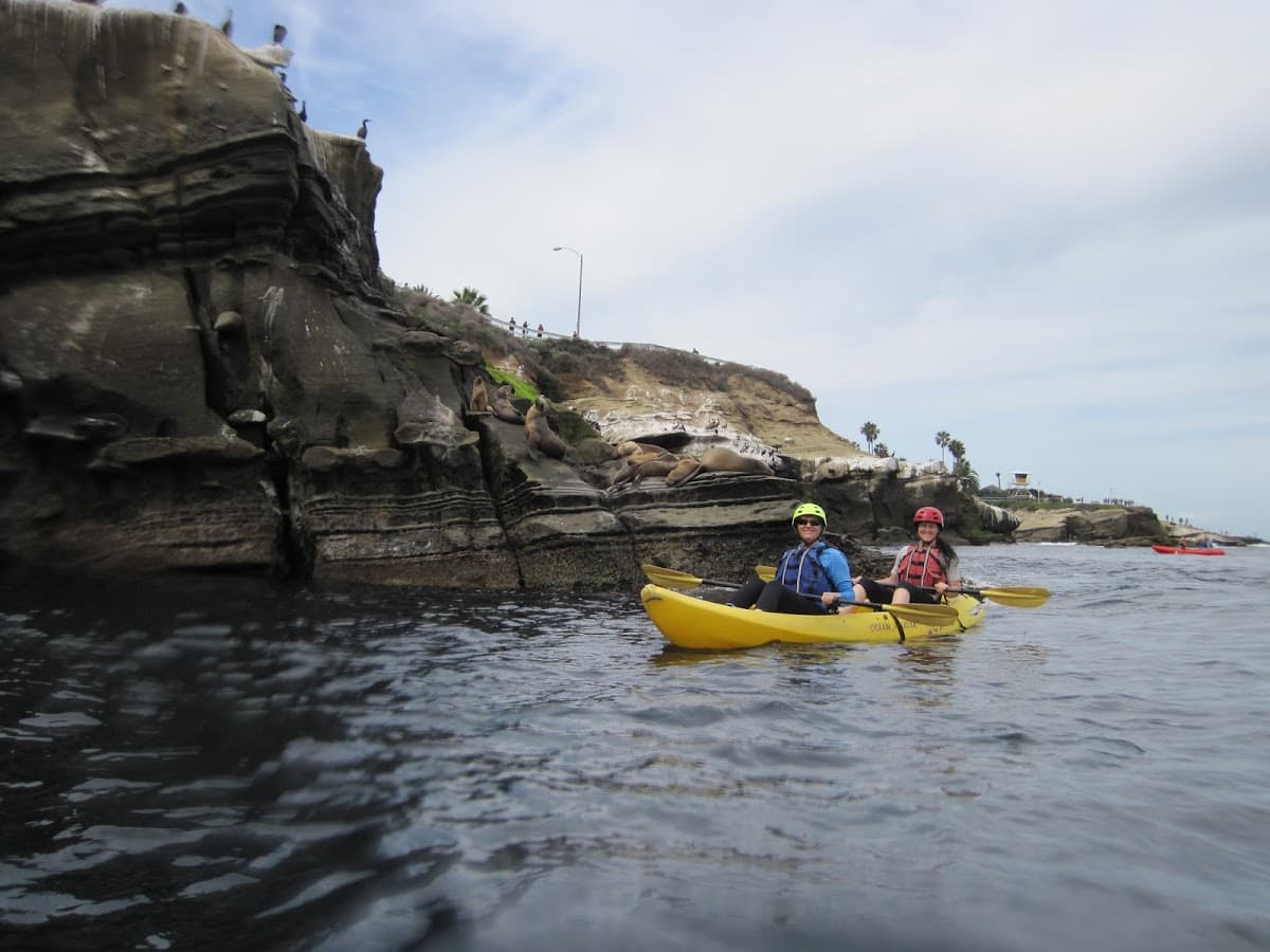 Original La Jolla Sea Cave Kayak Tour