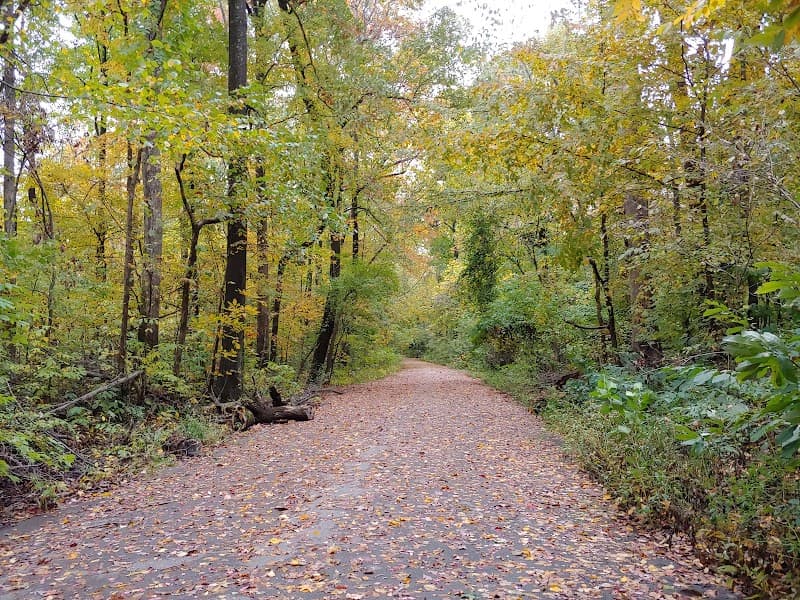 Overton Park Old Forest & Greensward