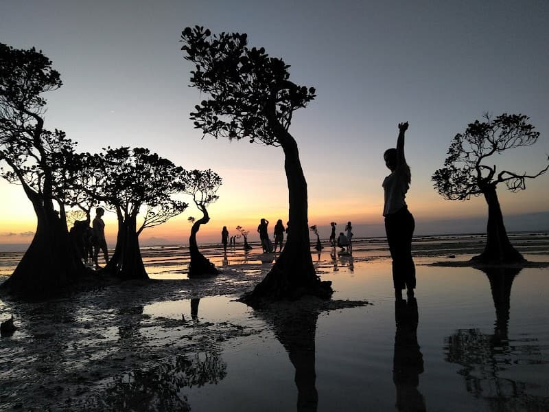 Pantai Walakiri Mangrove Beach