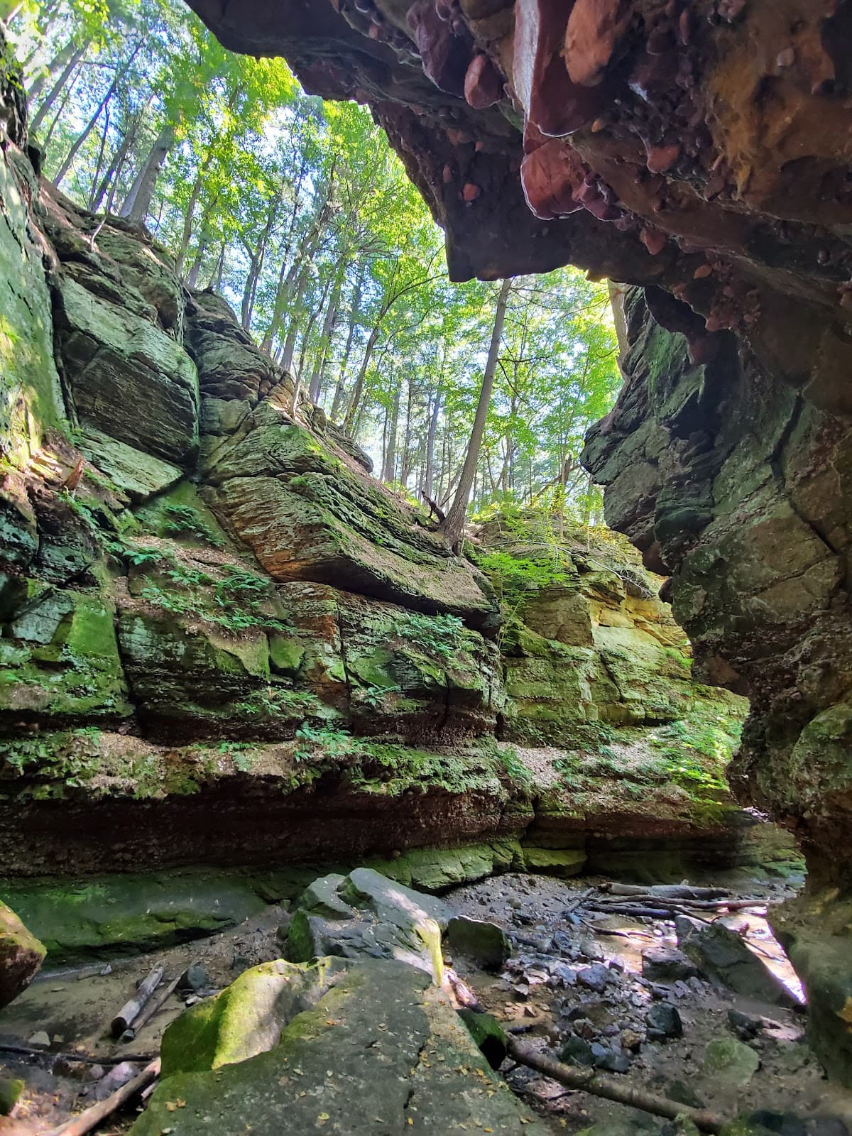 Parfrey's Glen Trail