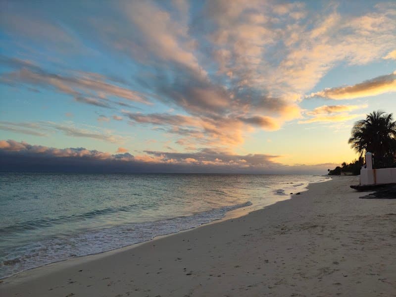 Tidepools & Tree Canopies: A Freeport Jungle-Wild Weekend