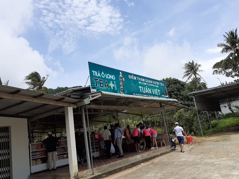 Pepper Farm Visit (Northern Phu Quoc)
