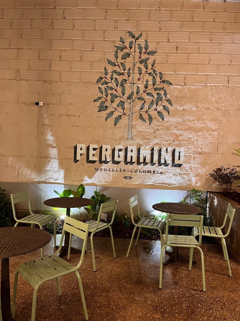 Medellín Jungle Wild: 7 Days in the City of Eternal Spring