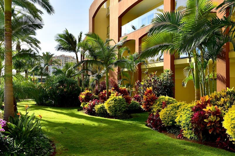 Pestana Promenade