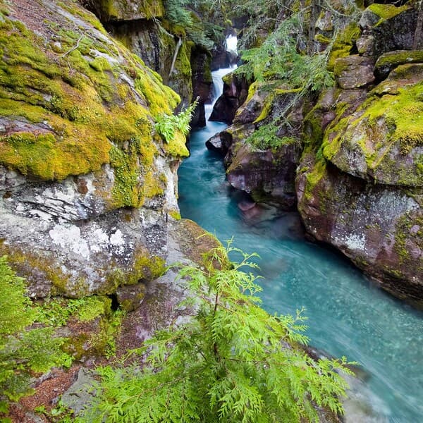 Picnic at Avalanche Creek or Lake McDonald (Self-Catered Halal)