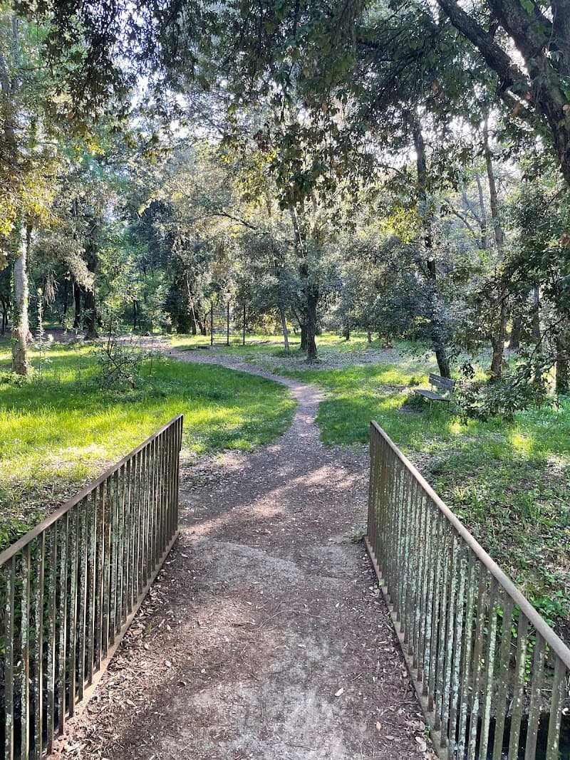 Pineta di Ponente (West Pine Forest Park)